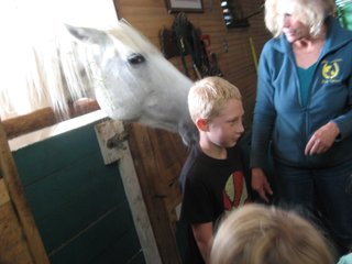 and they even have Mr. Ed the talking horse!
