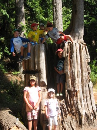 It's always fun to spend time climbing our old growth trees